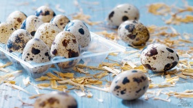 10 полезных чудо-свойств перепелиных яиц, о которых нужно знать каждому