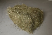Купить сено тюк (13-15 кг). 