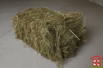 Купить сено тюк  (15-20 кг).