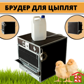 Купить брудер для цыплят 1 ярус комфорт-мини (бр-1-к-м).