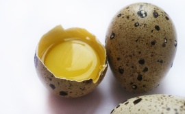Польза перепелиных яиц для организма человека